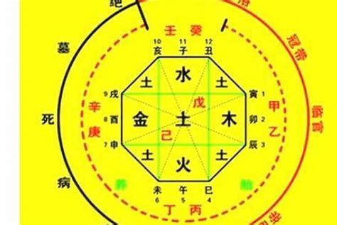 喜木火 忌金水|八字五行喜忌查询